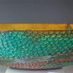 Brain Coral